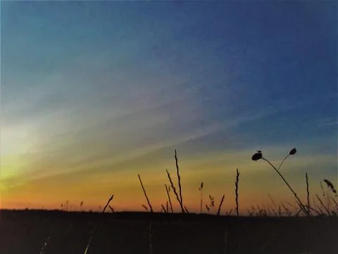 Summer sunset Fotos de archivo