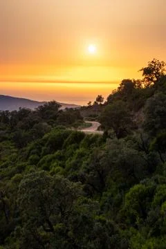 Summer sunset Stock Photos