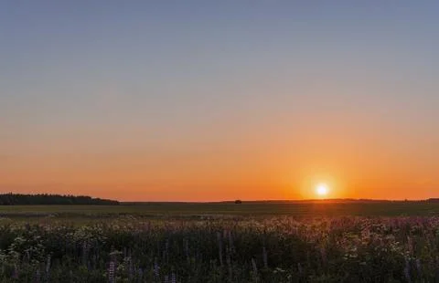 Summer sunset Stock Photos