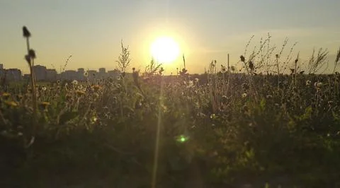 Summer sunset Stockfoto's