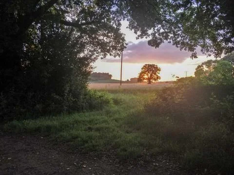 Summer sunset at Powderham, Devon Stock Photos