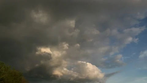 Summer sunset sky in the forest Stock Footage 132341980