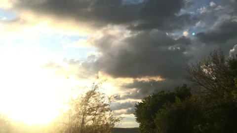 Summer sunset sky in the forest Stock Footage 132342060