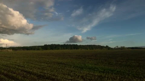 Summer sunset sky in the forest Stockbeeldmateriaal 132342280