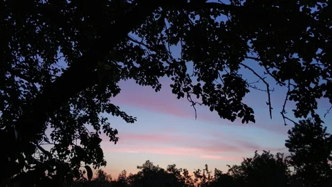 Summer sunset time lapse Stock Footage 90481594