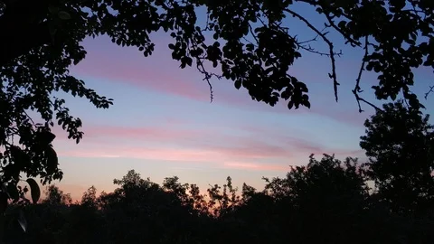 Summer sunset time lapse Stock Footage 90483079