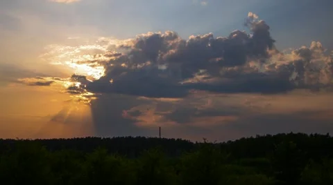 Summer sunset time lapse -green Forest Stock Footage 43515109