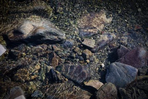 Summer sunshine creates beautiful patterns on river stones under water Stock Photos
