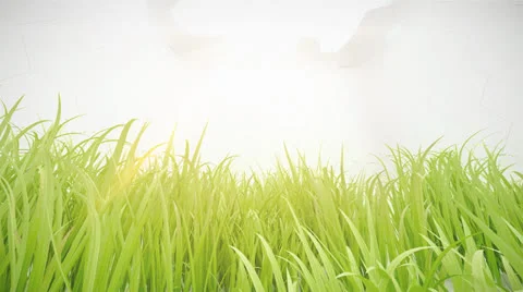 Summer sunshine Stock Footage 24506019