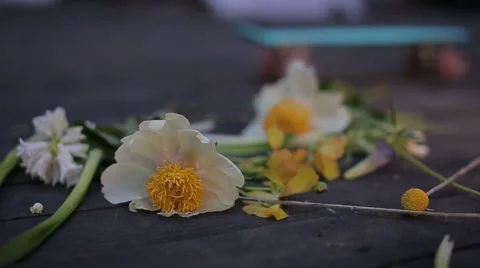 Summer sunshine reflexion on flowers Stock Footage 68014479