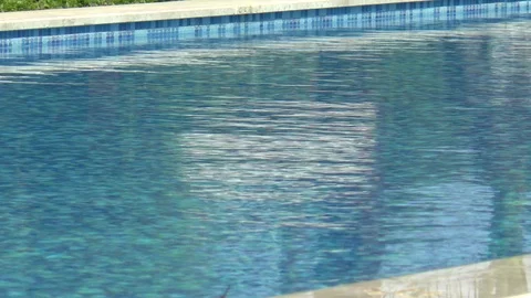 Summer Swimming Pool Stock Footage 95938686