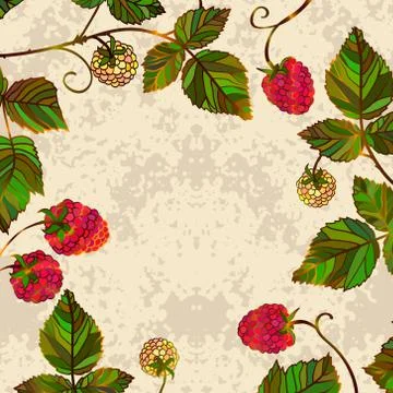 Summer template card. Stock Illustration