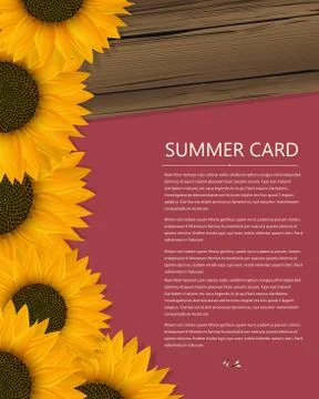 Summer text card Illustrazione stock