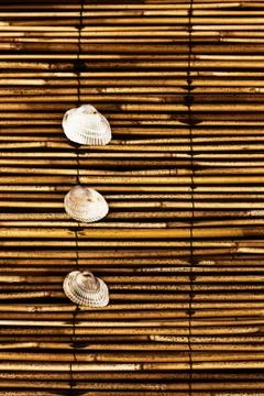 Summer texture Stock Photos