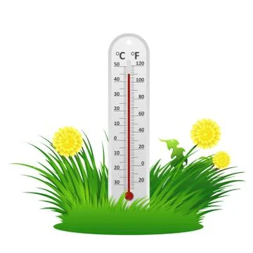 Summer thermometer Stock Illustration