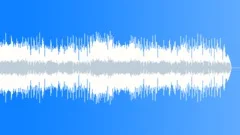 Summer Time Acoustic Guitar Country Stock Music