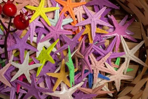 Summer time background concept. Sea starfish  background. 库存照片