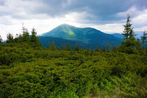 Summer time, Carpathian mountains Stock Photos