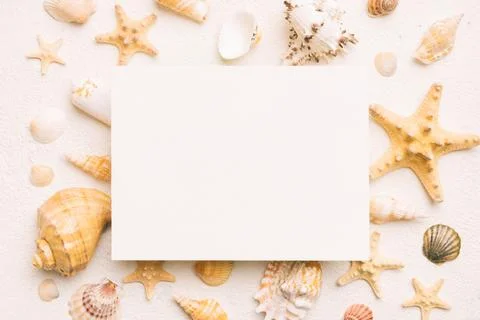 Summer time concept with blank greeting card and blank white paper on color.. Stock Photos
