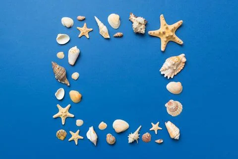 Summer time concept on colored background. Seashells from ocean shore in the  库存照片