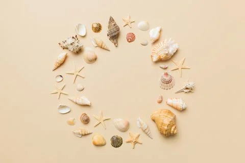 Summer time concept on colored background. Seashells from ocean shore in the  Stock Photos