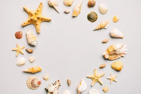 Summer time concept on colored background. Seashells from ocean shore in th.. Stock Photos