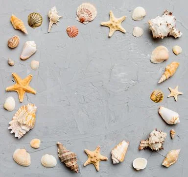 Summer time concept on colored background. Seashells from ocean shore in th.. Stock Photos