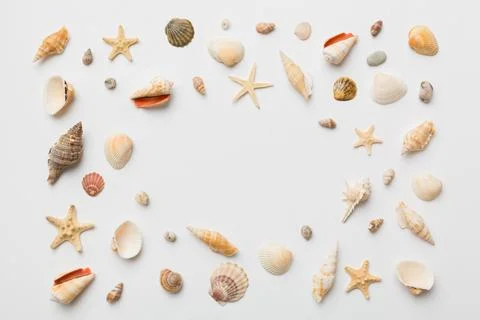 Summer time concept Flat lay composition with beautiful starfish and sea shel Stock Photos
