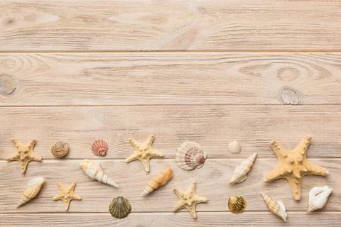 Summer time concept Flat lay composition with beautiful starfish and sea shel Stock Photos