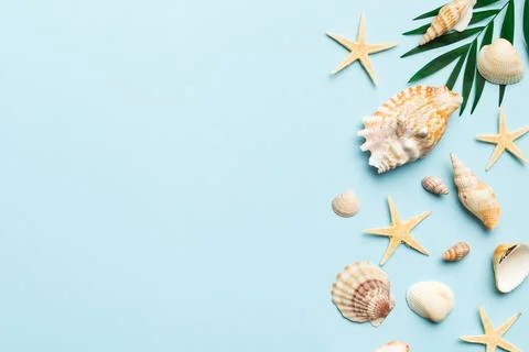 Summer time concept Flat lay composition with beautiful starfish and sea shel Stock Photos