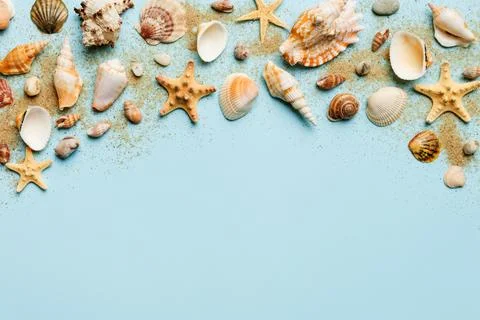 Summer time concept Flat lay composition with beautiful starfish and sea shel Stock Photos