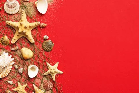 Summer time concept Flat lay composition with beautiful starfish and sea shel Stock Photos