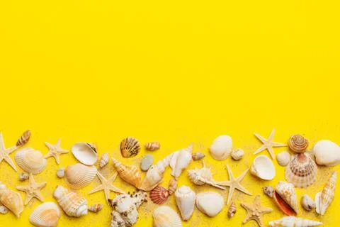 Summer time concept Flat lay composition with beautiful starfish and sea shel Stock Photos