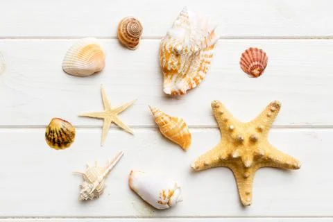 Summer time concept Flat lay composition with beautiful starfish and sea shel Stock Photos