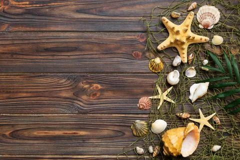 Summer time concept Flat lay composition with beautiful starfish and sea shel Stock Photos