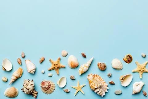 Summer time concept Flat lay composition with beautiful starfish and sea sh.. Stock Photos