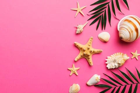 Summer time concept Flat lay composition with beautiful starfish and sea sh.. Stock Photos