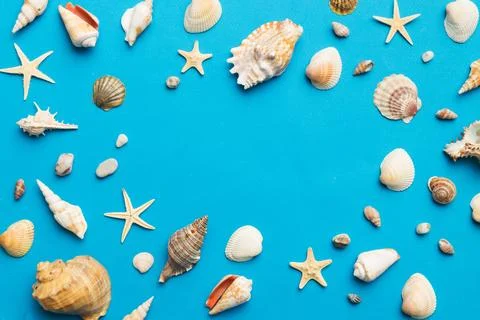Summer time concept Flat lay composition with beautiful starfish and sea sh.. Fotos Stock