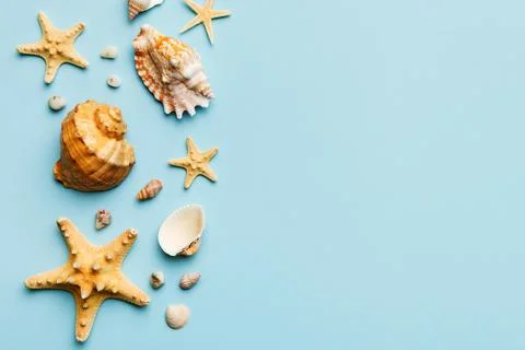 Summer time concept Flat lay composition with beautiful starfish and sea sh.. Stock Photos