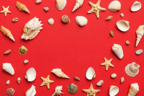 Summer time concept Flat lay composition with beautiful starfish and sea sh.. Stock Photos