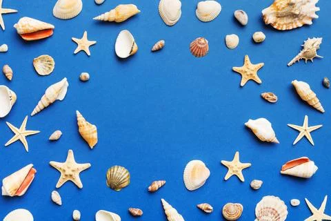 Summer time concept Flat lay composition with beautiful starfish and sea sh.. Stock Photos
