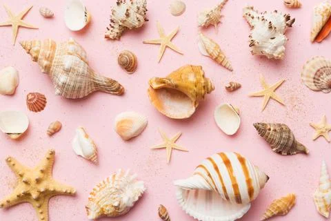 Summer time concept Flat lay composition with beautiful starfish and sea sh.. Fotos Stock