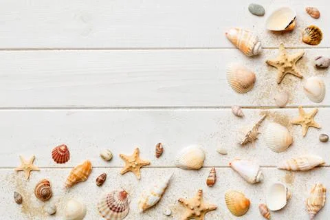 Summer time concept Flat lay composition with beautiful starfish and sea shel Stock Photos