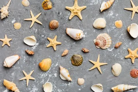 Summer time concept Flat lay composition with beautiful starfish and sea sh.. Stock Photos