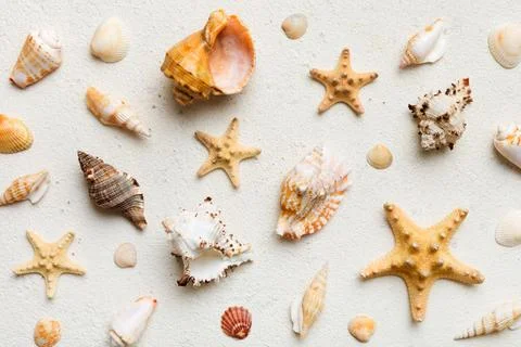 Summer time concept Flat lay composition with beautiful starfish and sea sh.. Stock Photos