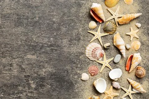 Summer time concept Flat lay composition with beautiful starfish and sea sh.. Stock Photos