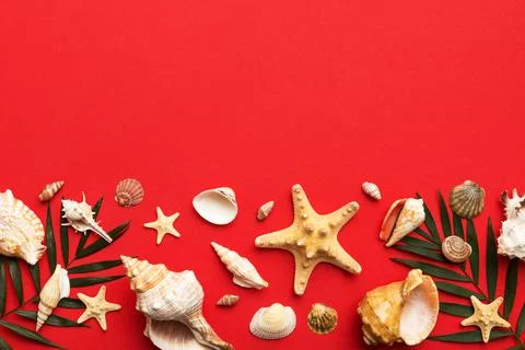 Summer time concept Flat lay composition with beautiful starfish and sea shel Stock Photos