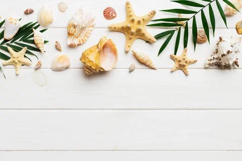 Summer time concept Flat lay composition with beautiful starfish and sea shel Stock Photos
