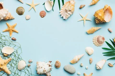 Summer time concept Flat lay composition with beautiful starfish and sea sh.. Stock Photos