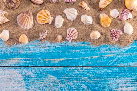 Summer time concept with sea shells on a blue wooden background and sand Фото